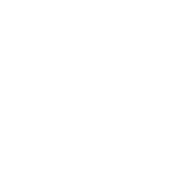 Sophart Photography Hunde Fotoshooting