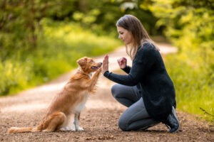 Sophart Photography Hunde Fotoshooting Hund Mensch