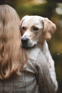 Sophart Photography Hunde Fotografie