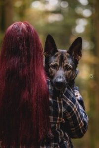 Sophart Photography Hunde Fotografie