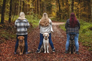 Sophart Photography Hunde Fotografie